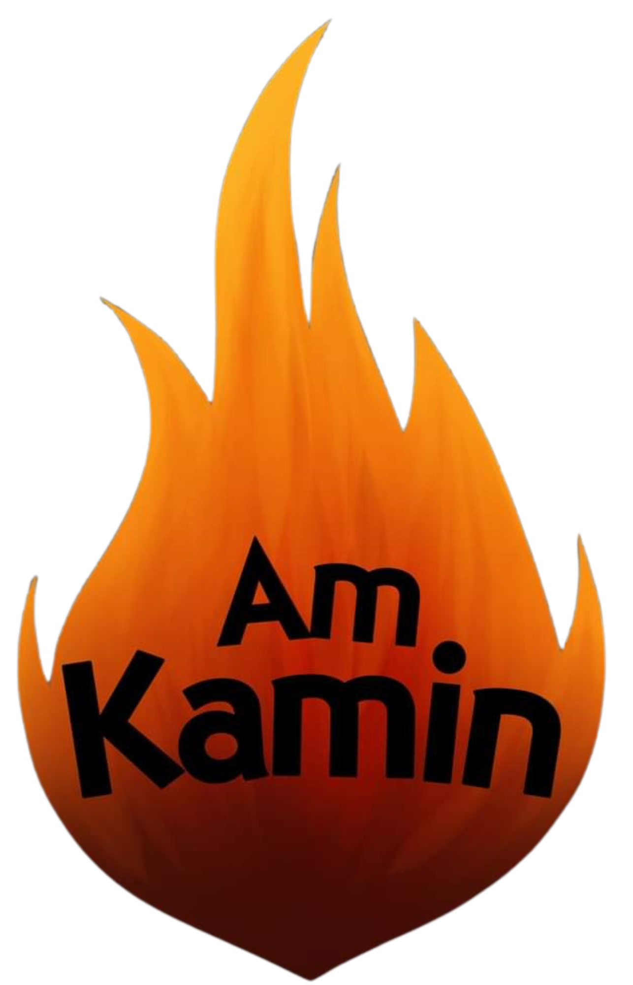 logo.amkamin